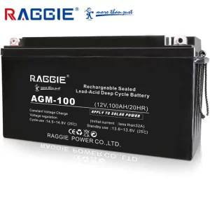 Свинцово-кислотная батарея Raggie 12V 100Ah